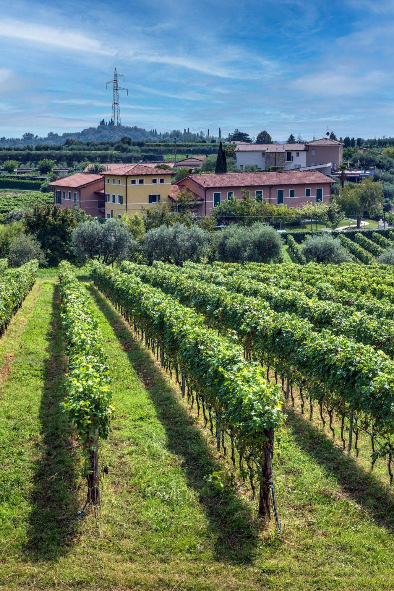 Tenuta Di Palu Бардолино Экстерьер фото