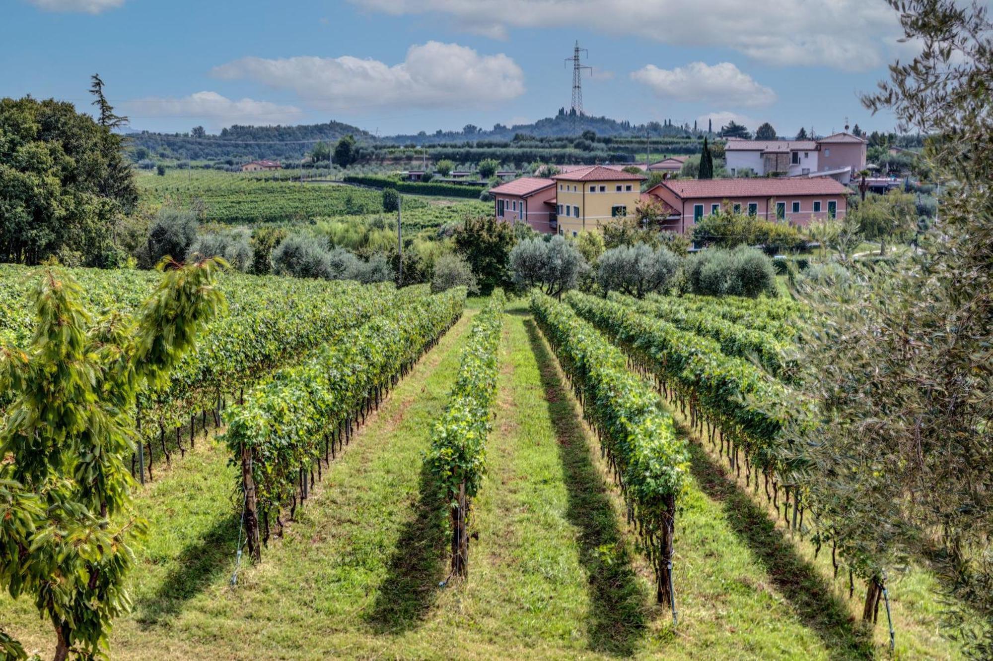 Tenuta Di Palu Бардолино Экстерьер фото